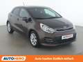 Kia Rio 1.2 Team Austria Edition Braun - thumbnail 8