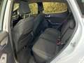 Ford Fiesta 1.0 EcoBoost Hybrid Titanium-AIRCO-CRUISE-LED-PDC- Wit - thumbnail 13