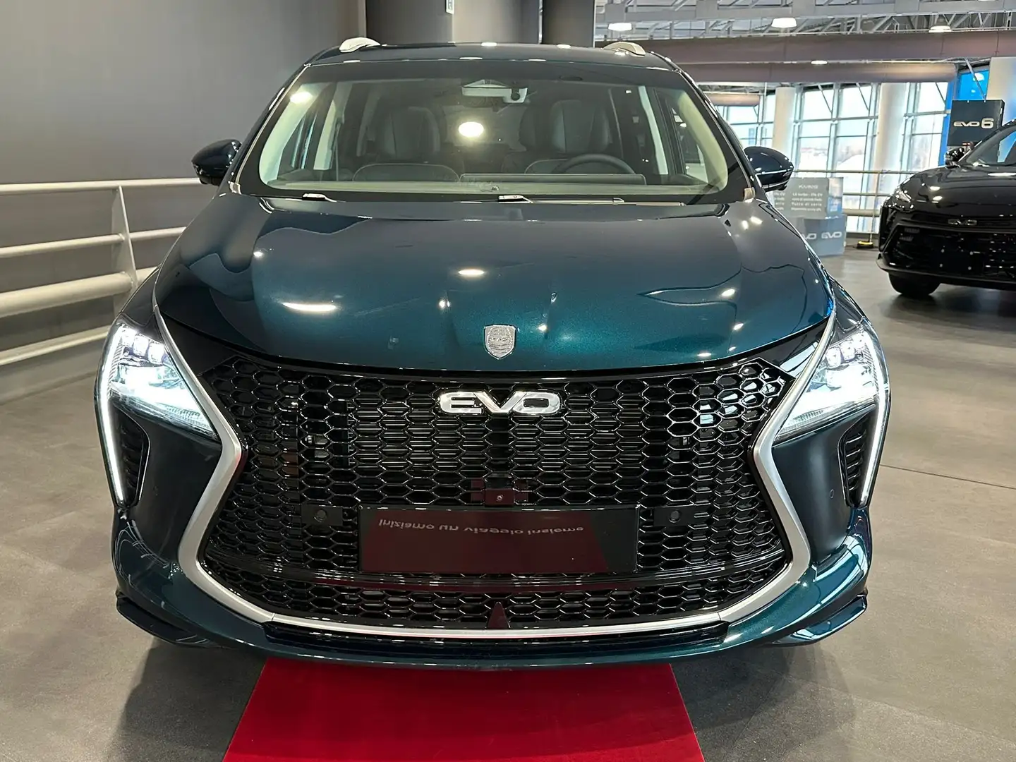 EVO Sonstige SPAZIO Grün - 2