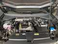 Volkswagen T-Roc Life (SHZ.NAVI.PDC.FRONT+LANE ASSIST.LED) 1.0 TSI Negro - thumbnail 16