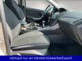 Ford Focus 1,0 EcoBoost 92kW Titanium Beige - thumbnail 14