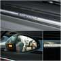 Audi A4 allroad quattro 45 TFSI*Leder*Panorama*Kamera Gris - thumbnail 18