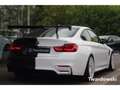 BMW M4 GT4 RINGTOOL RECARO APRACING KW Racing Akra Weiß - thumbnail 6