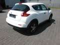 Nissan Juke 1.6 Visia KLIMA ALU aus 2.Hand Blanc - thumbnail 8