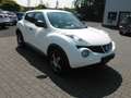 Nissan Juke 1.6 Visia KLIMA ALU aus 2.Hand Blanc - thumbnail 6