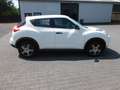Nissan Juke 1.6 Visia KLIMA ALU aus 2.Hand Blanc - thumbnail 7