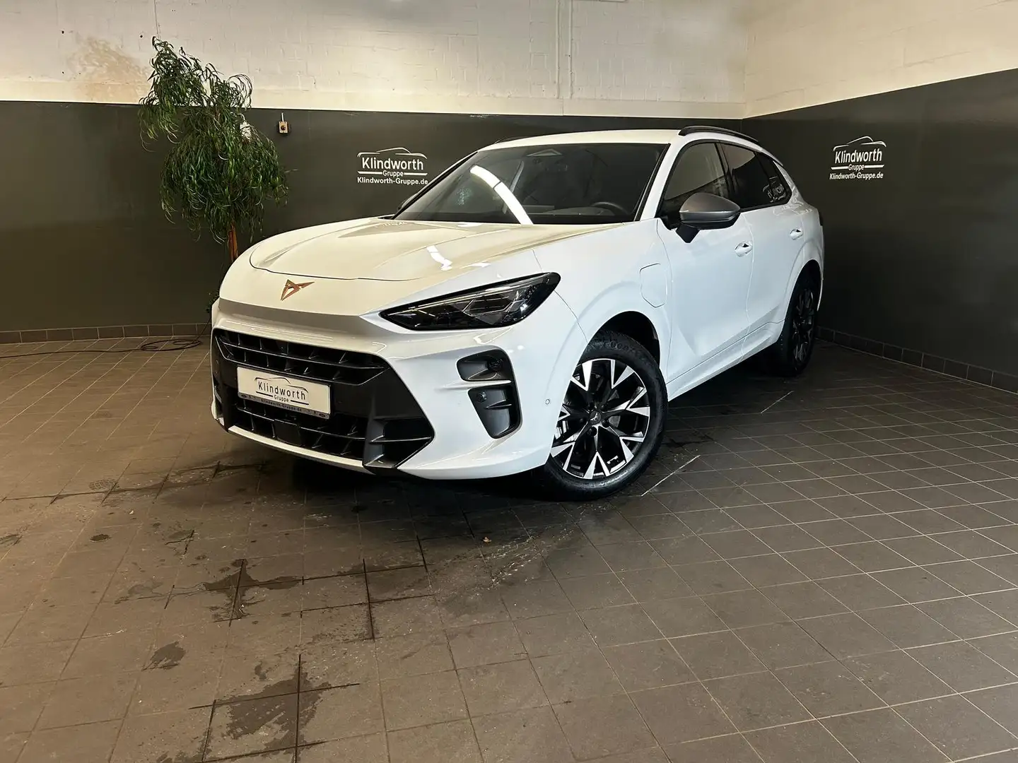 CUPRA Terramar 1.5 eTSI Plug in Hybrid Matrix+360°+GJR Weiß - 1