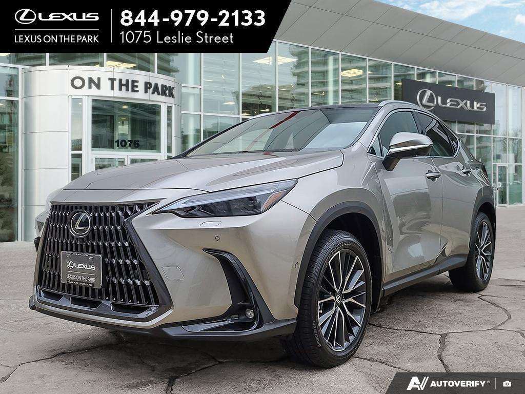 2026 Lexus NX 350 | EXECUTIVE | COMPANY CAR | ACCESSORIES INCL