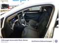 Volkswagen Golf VIII 1.5 TSI Life GAR2029 Standheizung PDC Weiß - thumbnail 8