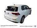 Volkswagen Golf VIII 1.5 TSI Life GAR2029 Standheizung PDC Weiß - thumbnail 6