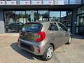 Kia Picanto Picanto III 2017 1.0 Urban Gpl my20 Grigio - thumbnail 4