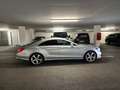 Mercedes-Benz CLS 350 CDI BlueEfficiency Aut. DPF Silber - thumbnail 7