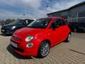 Fiat 500 Cult Mild Hybrid 27.837 KM/SR auf Alu neu Orange - thumbnail 1