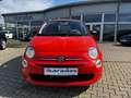 Fiat 500 Cult Mild Hybrid 27.837 KM/SR auf Alu neu Orange - thumbnail 2