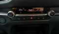 Mazda CX-30 (2022) E-SKYACTIV G 2.0 150CV MT 2WD HOMURA Gris - thumbnail 29
