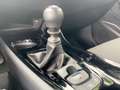 Toyota C-HR 1.2 Turbo Team D Klimaautomatik LM PDC SHZ - thumbnail 14