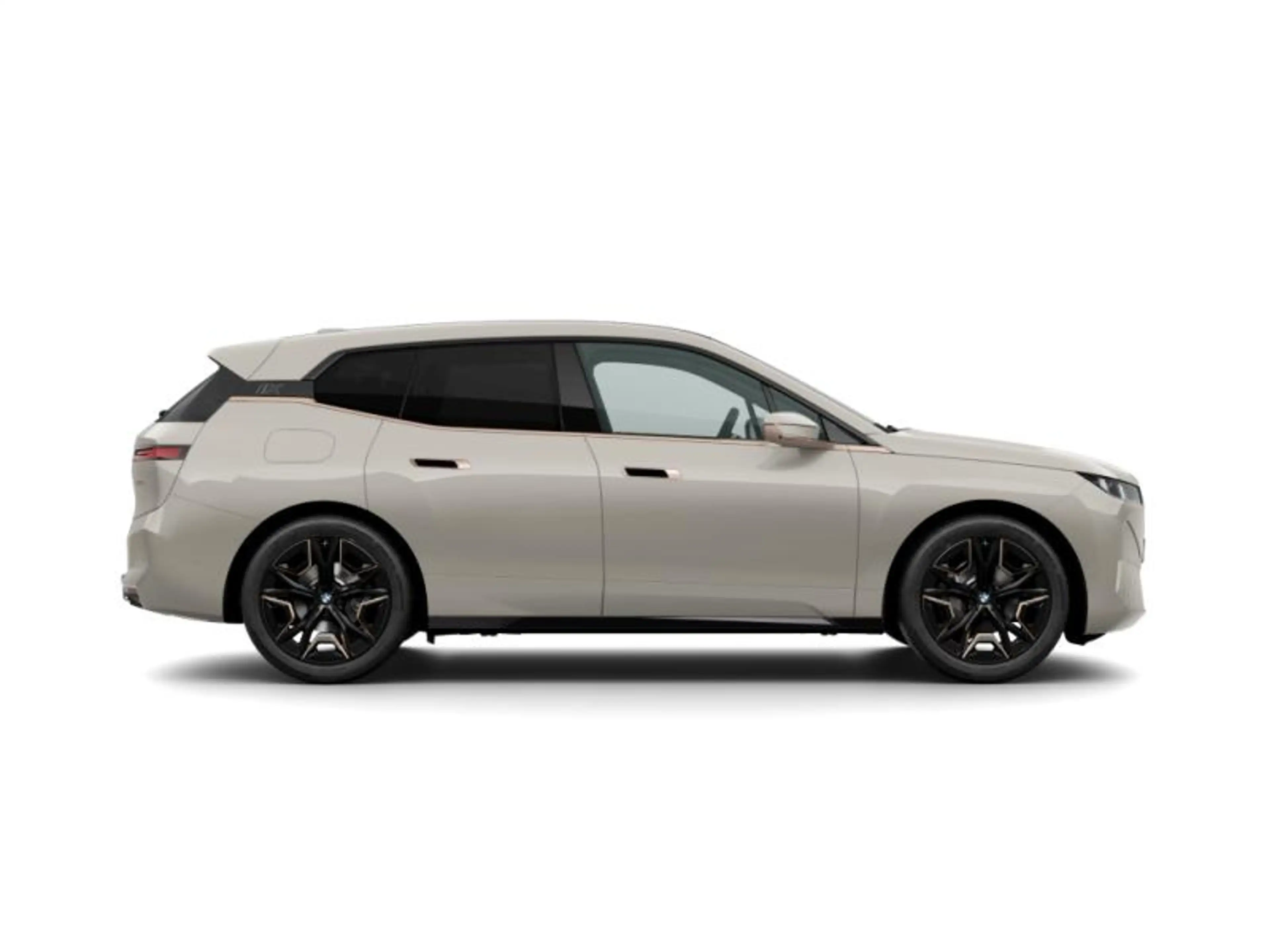 BMW iX iX xDrive45 | H&K | DRIVE PRO | TREKHAAK | — photo 3