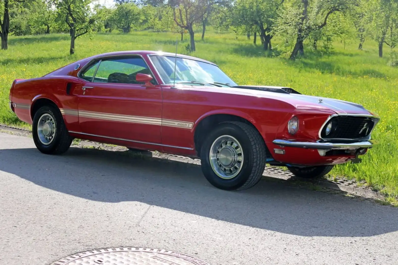 Ford Mustang Rot - 1