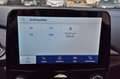 Ford Puma Hybrid Titanium, Navi, CarPlay, LED, PDC Blanc - thumbnail 15