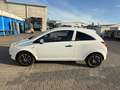 Opel Corsa D "110 Jahre"- 1Jahr Garantie-Klima-Servo Weiß - thumbnail 17