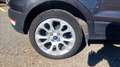 Ford EcoSport 1.0 ecoboost Titanium s&s 125cv Grijs - thumbnail 13