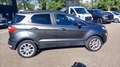 Ford EcoSport 1.0 ecoboost Titanium s&s 125cv Grijs - thumbnail 5
