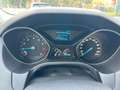 Ford Focus Sync Edition Blau - thumbnail 6
