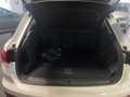 Audi Q3 45 TFSIe Advanced S-tronic Weiß - thumbnail 11