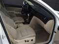 Skoda Superb Combi Elegance 2,0 TDI CR DPF DSG Weiß - thumbnail 17