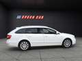 Skoda Superb Combi Elegance 2,0 TDI CR DPF DSG Weiß - thumbnail 6
