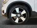 Volvo XC40 1.5 t3 Business Plus my20 Bianco - thumbnail 17