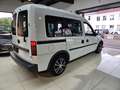 Opel Combo Kombi Business 111 Jahre,Klima,2-Hand,Tuv- Weiß - thumbnail 8