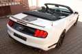 Ford Mustang BSP3 Edition/Cabrio/3.JGarantie White - thumbnail 4