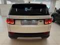 Land Rover Discovery Sport 2.0d td4 mhev SE awd 163cv auto "AUTOCARRO N1" Bianco - thumbnail 5