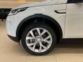 Land Rover Discovery Sport 2.0d td4 mhev SE awd 163cv auto "AUTOCARRO N1" Bianco - thumbnail 4