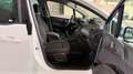 Opel Meriva Meriva 1,4 ecoflex Österreich Edition Start/Stop System Österreich Edition Weiß - thumbnail 8