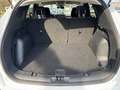 Ford Kuga 183PS 2,5 Duratec FHEV Active Allrad Aut. (SOFO... Weiß - thumbnail 10