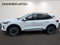 Ford Kuga 183PS 2,5 Duratec FHEV Active Allrad Aut. (SOFO... Weiß - thumbnail 3