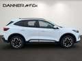 Ford Kuga 183PS 2,5 Duratec FHEV Active Allrad Aut. (SOFO... Weiß - thumbnail 4