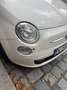 Fiat 500 500 1,2 Street Street Weiß - thumbnail 3