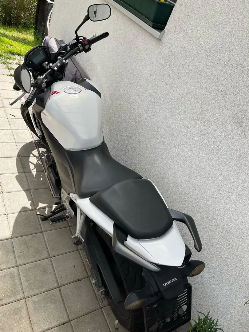 Honda CBF 500 White - 2
