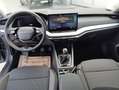 Skoda Octavia Selection TSI Grau - thumbnail 12
