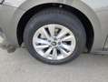 Skoda Octavia Selection TSI Grau - thumbnail 9