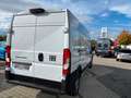 Fiat Ducato Maxi L3H2 KaWa MY25 3,5t Weiß - thumbnail 5