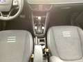 Ford Tourneo Courier 1.0 EcoBoost Active AHK Navi Kam Vert - thumbnail 11