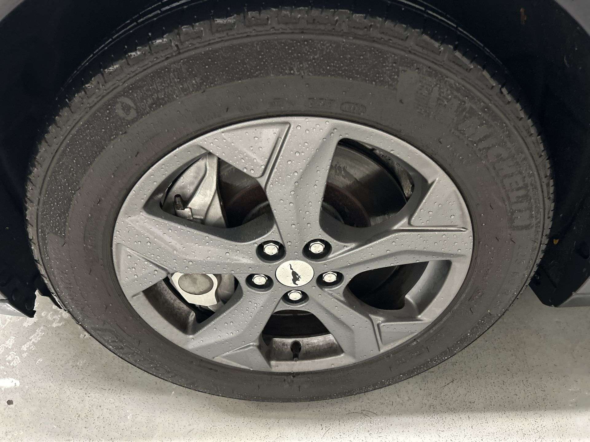 Image 5