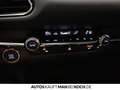 Mazda CX-30 2.0 e-SKYACTIV X  Exclusive AT Navi ACC Blau - thumbnail 29
