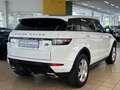 Land Rover Range Rover Evoque Si4 Dynamic *PANO*NAVi*Bi XEN White - thumbnail 3