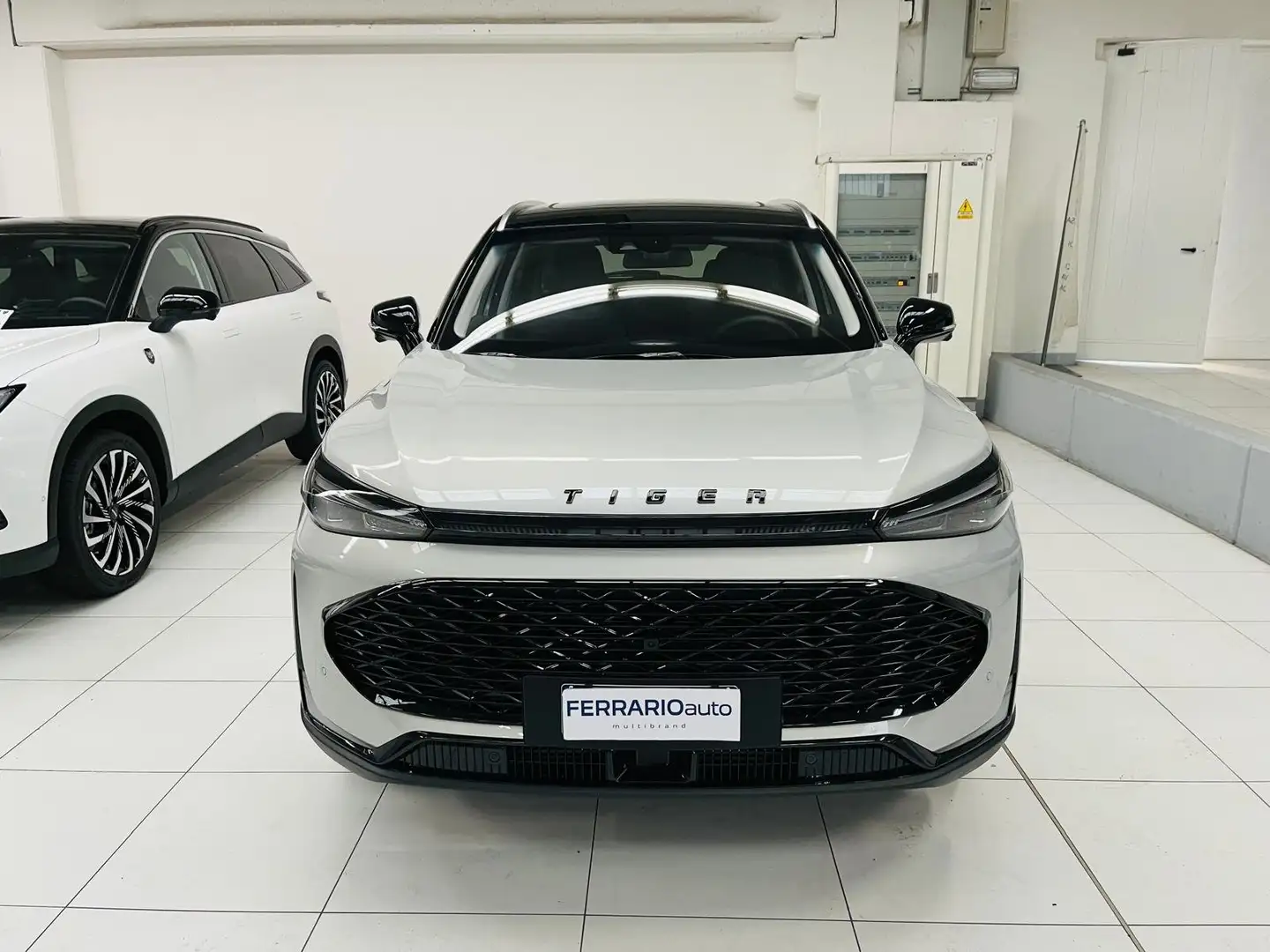 Tiger EIGHT 1.5 Gpl 167 cv 7dct - DIMOSTRATIVA Grau - 2