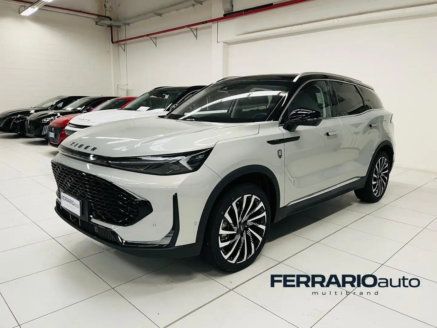 Tiger EIGHT 1.5 Gpl 167 cv 7dct - DIMOSTRATIVA Grau - 1